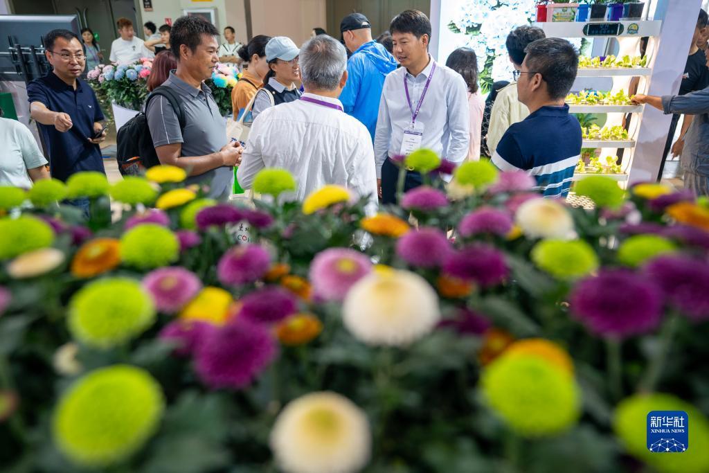 2018新平台跳槽送彩金